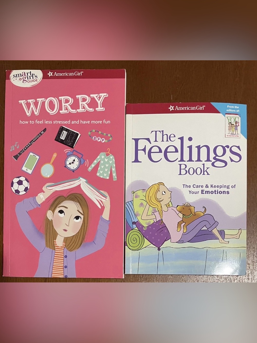 American Girl Books Lot Of 2. The Feelings Book & Worry The Smart Girls Guide